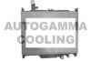 AUTOGAMMA 107495 Radiator, engine cooling